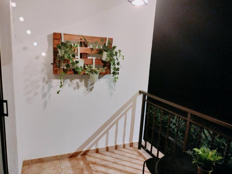 La Casita De Ari Villa Jerez de la Jerez de la Frontera Dış mekan fotoğraf